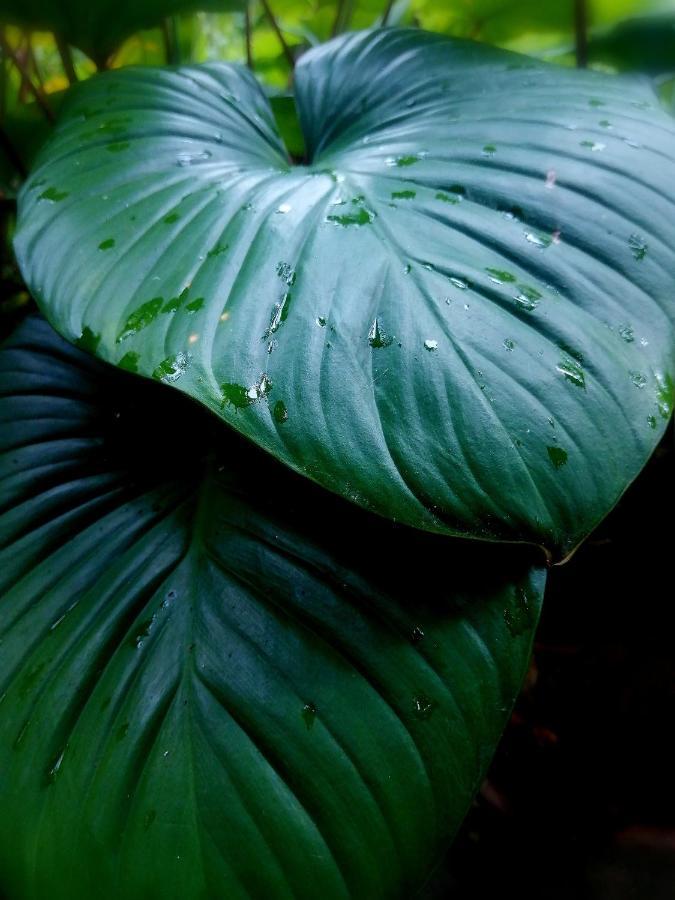 Finca Kobo Palo Seco Екстер'єр фото