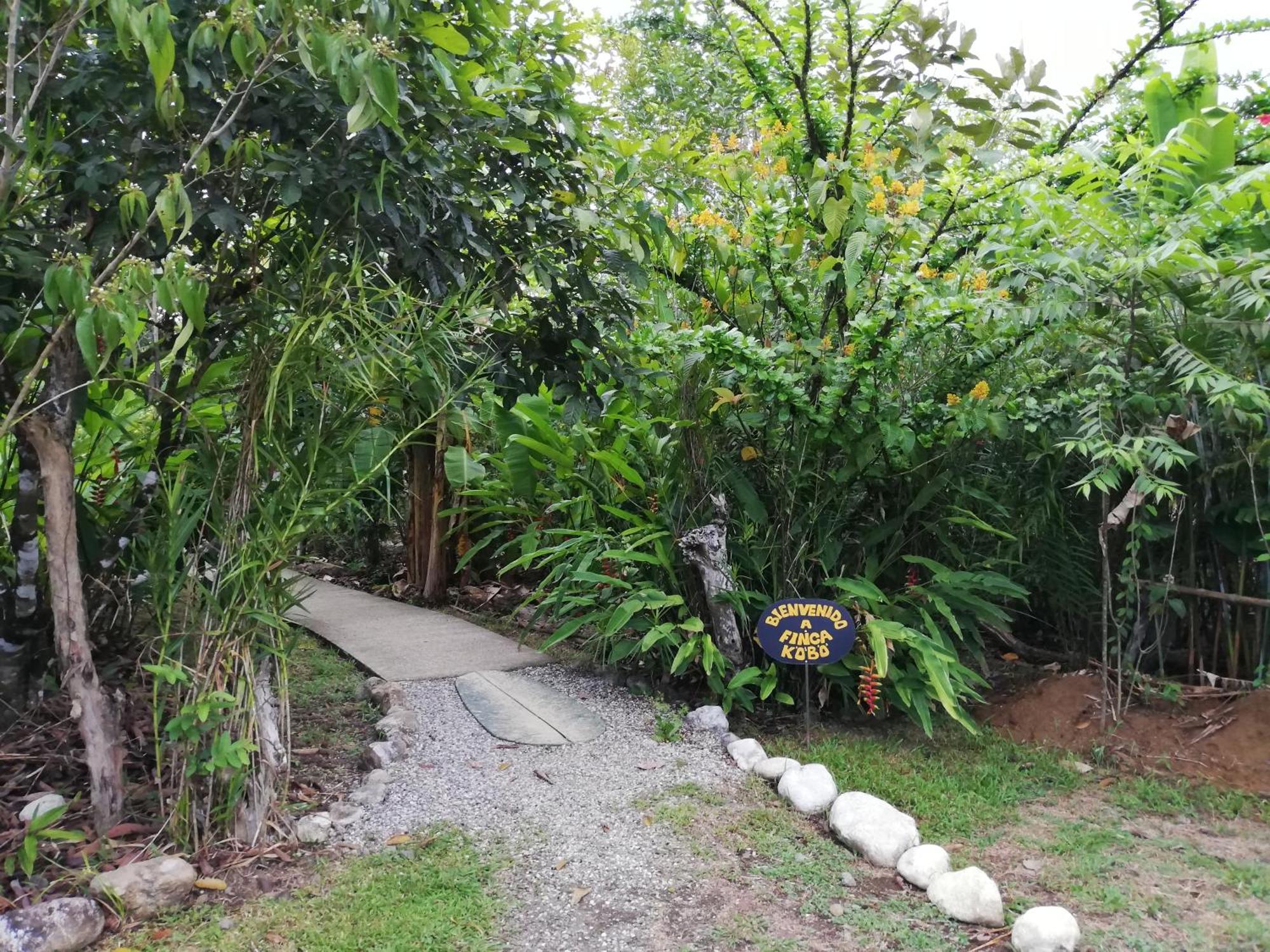 Finca Kobo Palo Seco Екстер'єр фото