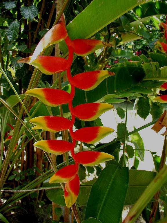 Finca Kobo Palo Seco Екстер'єр фото