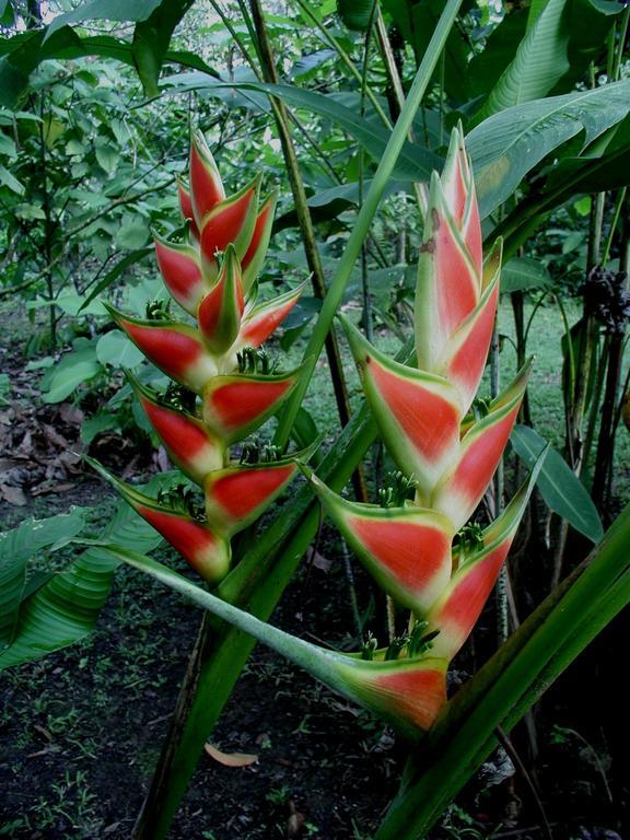 Finca Kobo Palo Seco Екстер'єр фото